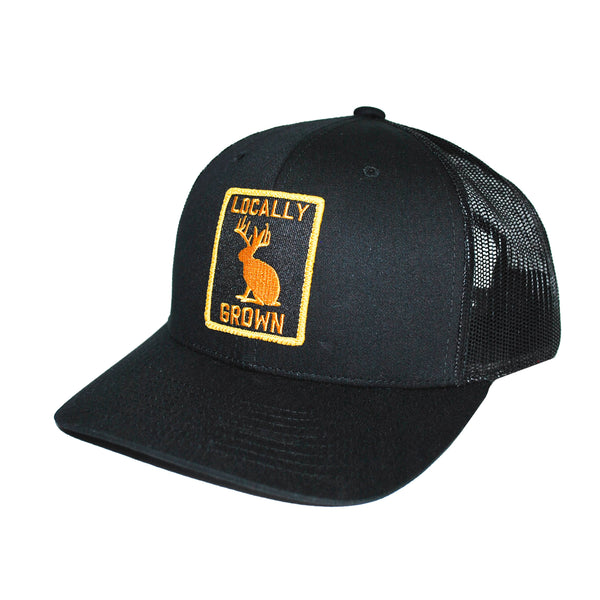 Locally Grown 6-Panel Snap Back Gold